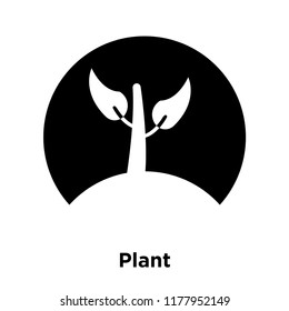 Plant icon vector isolated on white background, logo concept of Plant sign on transparent background, filled black symbol