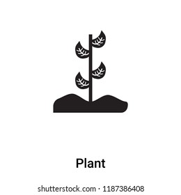 Plant icon vector isolated on white background, logo concept of Plant sign on transparent background, filled black symbol