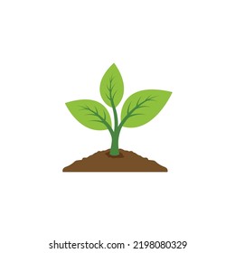 plant icon vector. leaf growing design. Seed and seeding vector icon. Flat design growing plant or tree logo symbol. Vector illustration