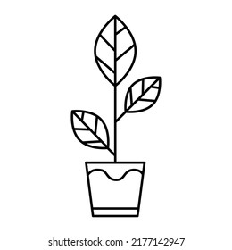 Plant icon vector on trendy design.