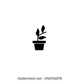 Plant icon vector on a white background