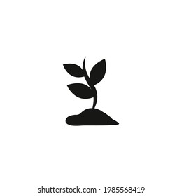 vector de icono de planta sobre fondo blanco