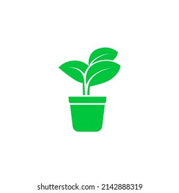 plant icon vector sprout seed sapling grow tree
