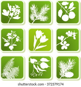 Plant icons series