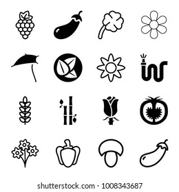 Plant icons. set of 16 editable filled and outline plant icons such as eggplant, water hose, rose, tomato, mushroom, grape, bouquet, plant, pepper, clover, flower, leaf