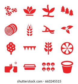 Plant icons set. set of 16 plant filled icons such as wheat, plant, hay, tree, pine tree, plowing tool, garden tools, pot for plants, flower, lemon