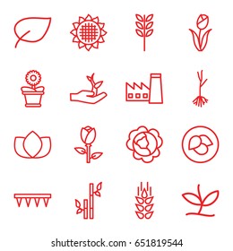 Plant icons set. set of 16 plant outline icons such as wheat, leaf, cabbage, sunflower, rose, factory, lotus, bamboo, plowing tool, flower pot, sprout