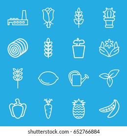 Plant icons set. set of 16 plant outline icons such as hay, flower, watering can, rose, lemon, leaf, carrot, pepper, peas, cactus, factory, pineapple