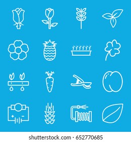 Plant icons set. set of 16 plant outline icons such as wheat, peach, rose, leaf, clover, garden tools, water hose, flower, carrot, pineapple