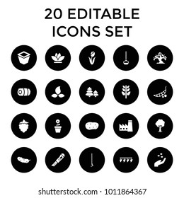 Plant icons. set of 20 editable filled plant icons such as hand with seeds, factory, cucumber, hoe, flower, tree, hay, potato. best quality plant elements in trendy style.