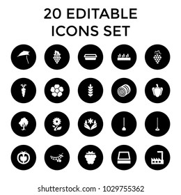 Plant icons. set of 20 editable filled plant icons such as hay, mulberry, grape, flower, plant, hoe, carrot, pepper, tomato. best quality plant elements in trendy style.