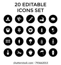 Plant icons. set of 20 editable filled plant icons such as wheat, leaf, carrot, mulberry, tree, money tree, garden tools, lemon. best quality plant elements in trendy style.