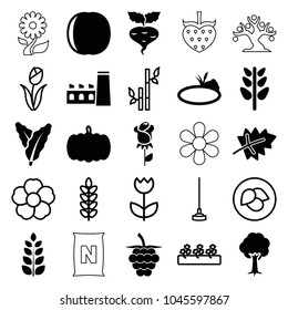 Plant icons. set of 25 editable filled and outline plant icons such as leaf, pumpkin, spinach, tree, plant, pond, bamboo, hoe, sprout plants, flower, peach, beet, factory