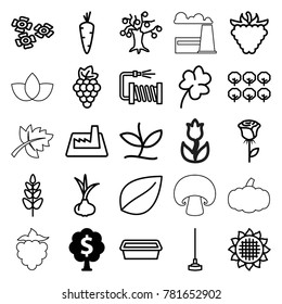 Plant icons. set of 25 editable outline plant icons such as money tree, onion, carrot, grape, sunflower, tree, leaf, clover, rose, hoe, water hose, pot for plants, raspberry