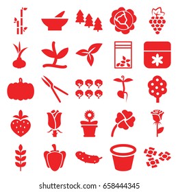 Plant icons set. set of 25 plant filled icons such as wheat, pumpkin, onion, grape, cabbage, tree, pine tree, bowl, flower, bamboo, rose, cucumber, garden tools