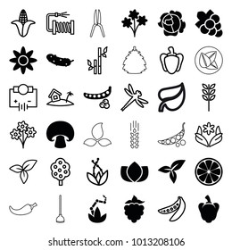 Plant icons. set of 36 editable filled and outline plant icons such as peas, lotus, grape, bouquet, cucumber, leaf, flower, corn, tree, bamboo, electricity, wheat, water hose