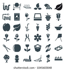 Plant icons. set of 36 editable filled plant icons such as peach, rose, bowl, bamboo, concrete mixer, dandelion, garden tools, water hose, pot for plants, sprout plants
