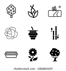 Plant icons. set of 9 editable filled and outline plant icons such as tree, pot for plants, plant, landscape, bamboo, cabbage, flower