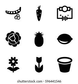 plant icons set. Set of 9 plant filled icons such as carrot, peas, cabbage, pot for plants, flower, lemon, pineapple