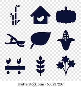 Plant icons set. set of 9 plant filled icons such as wheat, pumpkin, corn, bamboo, garden tools, eco house, plant, leaf