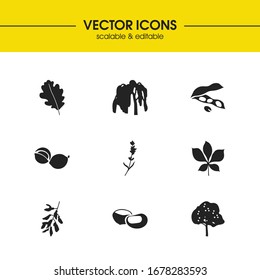 Plant icons set with acacia flower, chestnut and soy bean elements. Set of plant icons and forest concept. Editable vector elements for logo app UI design.