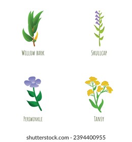 Plant icons set cartoon vector. Willow bark, periwinkle, tansy and skullcap. Medicinal plant, nature