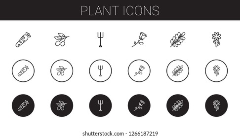 plant icons set. Collection of plant with healthy food, olive, garden, rose, branch, sunflower. Editable and scalable plant icons.
