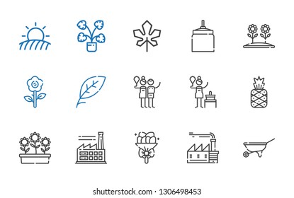 plant icons set. Collection of plant with wheelbarrow, factory, bouquet, flowers, pineapple, birch, leaf, flower, oat, maple leaf, decorative. Editable and scalable plant icons.