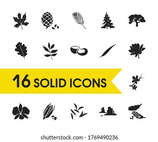 Plant icons set with sakura flower, cardamon and palm leaf elements. Set of plant icons and flavoring concept. Editable vector elements for logo app UI design.