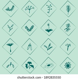 iconos de planta conjunto ilustración vectorial