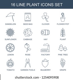 plant icons. Trendy 16 plant icons. Contain icons such as dandelion, seed bag, Clover, flower pot, sunflower, cabbage, hay, lemon, rose, factory. plant icon for web and mobile. plant icons. Trendy 16 plant icons. Contain icons such as dandelion, seed bag, Clover, flower pot, sunflower, cabbage, hay, lemon, rose, factory. plant icon for web and mobile.