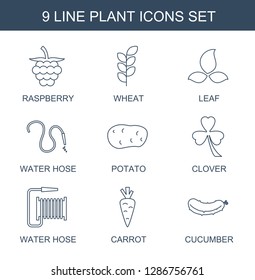 plant icons. Trendy 9 plant icons. Contain icons such as raspberry, wheat, leaf, water hose, potato, Clover, carrot, cucumber. plant icon for web and mobile.