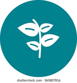 Plant II