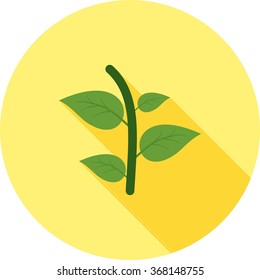 Plant II