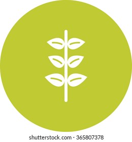 Plant III