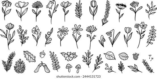 Plant illustration collection, hand drawn nature doodles, modern line art, clip art element set