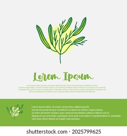 plantilla de diseño de ilustraciones vegetales, adecuada para marcas de belleza y agricultura