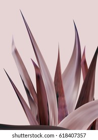 plant illustration flat lay 