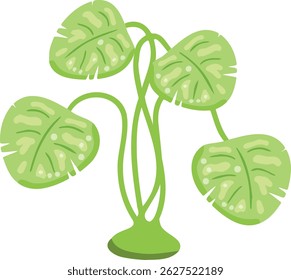 Plant illustration with green tropical leaves. Flat cartoon houseplant with simple design.