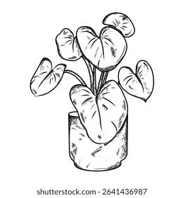 plant illustration hand draw style in vintage engraved sketch outline style.