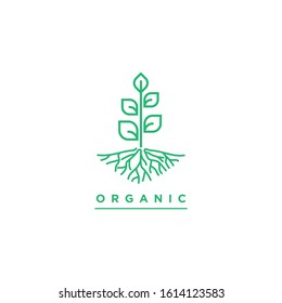 Plant illustration logo vector template. Organic plant logo design