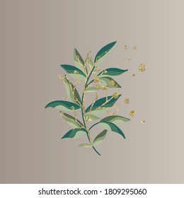 plant illustration on gradient background