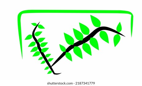 plant illustration on a white background