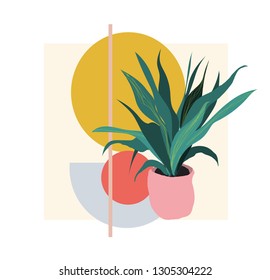 plant illustration. potted house plant vector. botanical art print. geometric background.