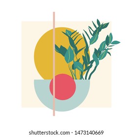 plant illustration. potted house plant vector. botanical art print. geometric background.