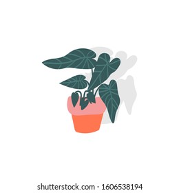 plant illustration. potted house plant vector. trendy botanical art print. 