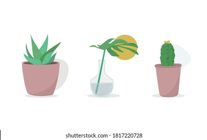 plant illustration. potted house plant vector. botanical art print. geometric and abstract background.