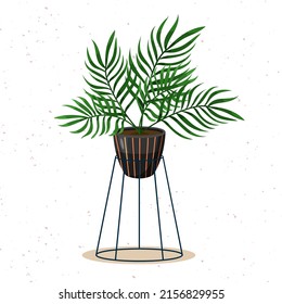 Plant illustration. Potted house plant vector.