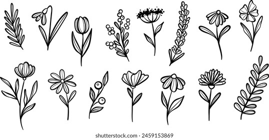 Pflanze Illustration Set, Vektorgrafik Blume Kritzeleien, Botanischer Clip Kunst Set, isoliert