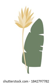 Plant Illustration. Simple Boho Isolated Flowers. Minimalism style, home decor floral print  design.